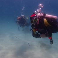 ashgp club de plongee paris 19 voyage indonesie 2019 16