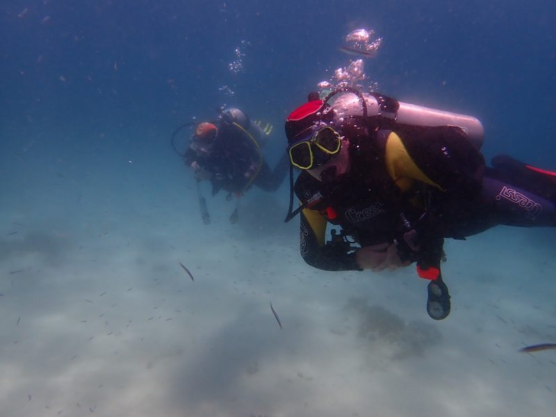 ashgp club de plongee paris 19 voyage indonesie 2019 16